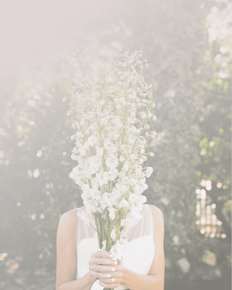 wedding-venues-edinburgh wedding venues edinburgh